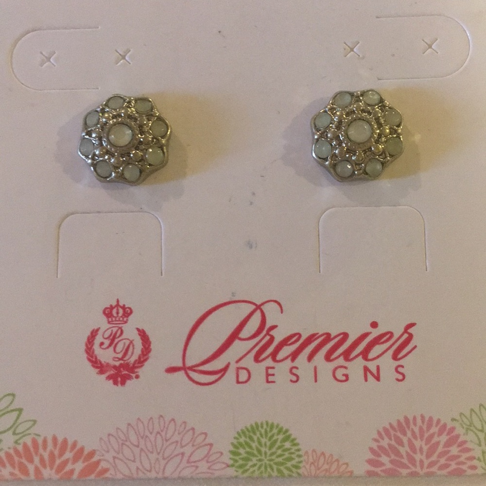 Premier Designs stud earrings